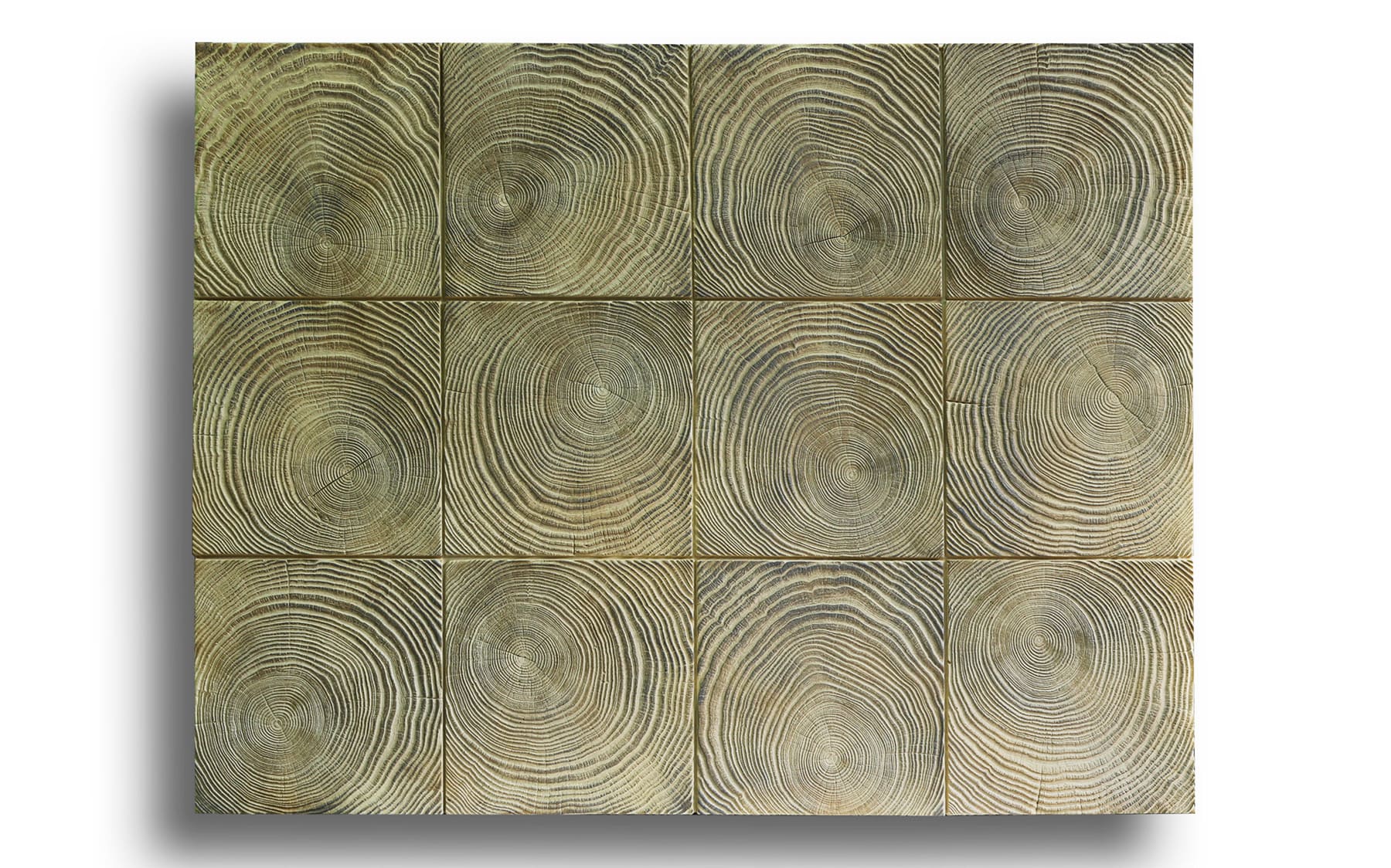 tấm PU giả gỗ vân xanh