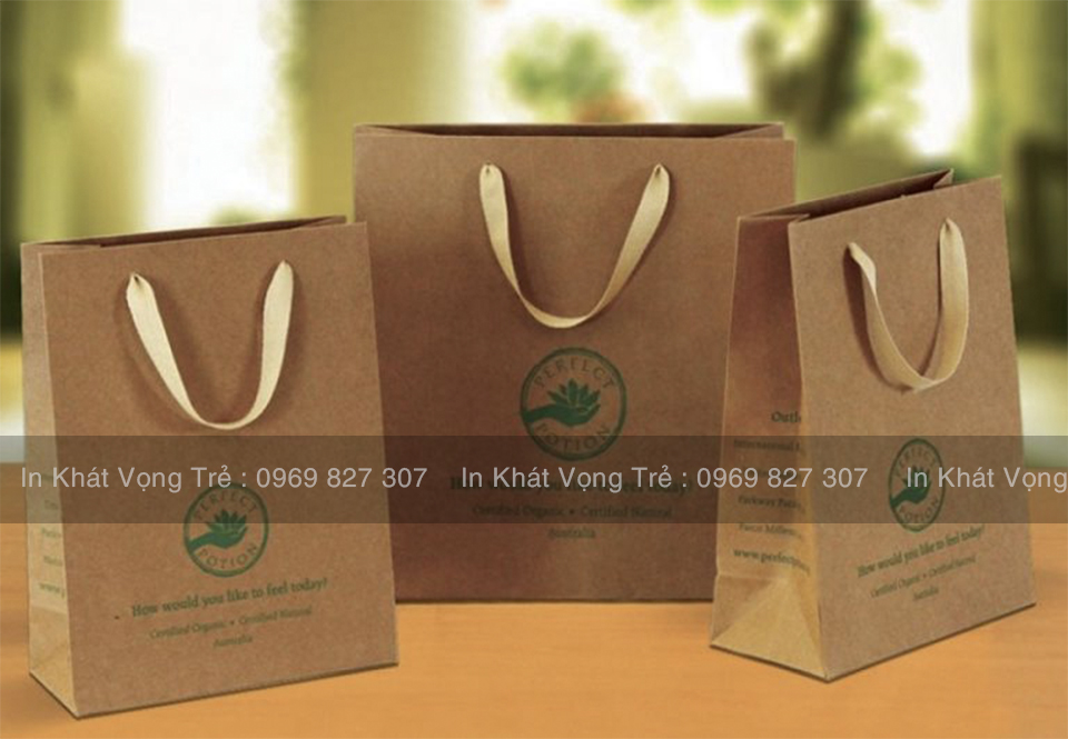 in túi giấy kraft