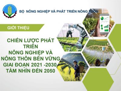 TẦM NHÌN NỀN NÔNG NGHIỆP VIỆT NAM NĂM 2050