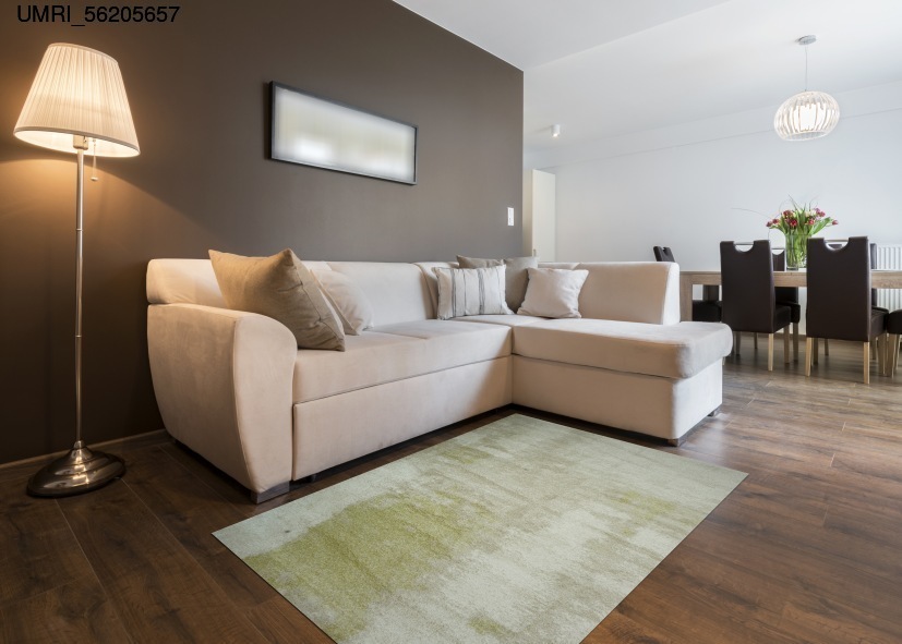 Thảm trải sàn ghế sofa