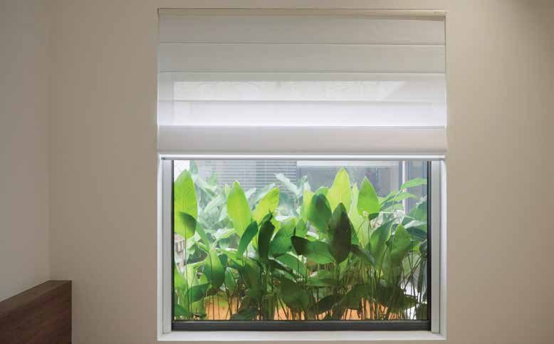 Rèm Roman Modero chính hãng tại Bình Dương