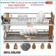 Kệ đa năng có khay  2 tầng treo tường Tovashu sus304 dài 80cm KAG-304SU263