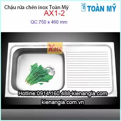 Chậu rửa Toàn Mỹ 1 hộc 1 cánh 90x46 cm AX12