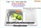 Chậu inox Erowin 1 hộc 1 cánh KAG-E8043