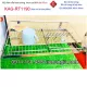 KAG-RT1190-ke-chen-dia-INOX-304-1-tang-treo-tuong-50cm-KAG-RT1190-24