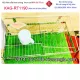 KAG-RT1190-ke-chen-dia-INOX-304-1-tang-treo-tuong-50cm-KAG-RT1190-25