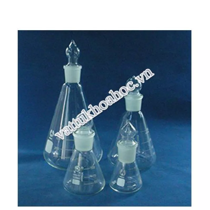 Bình tam giác có nút 250ml