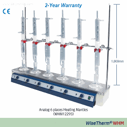 Bếp đun bình cầu đáy bằng 6 vị trí, 450°C, 250ml/300ml Daihan WHM12291