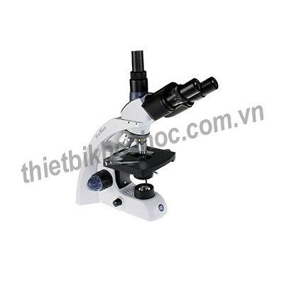 Kính hiển vi 3 mắt Euromex BB.4253