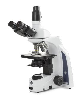 Kính hiển vi phản pha Euromex, có đầu chờ kết nối Camera  Euromex IS.1153-PLPHi