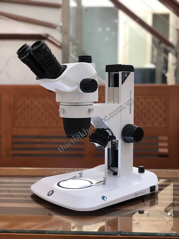 Kính hiển vi 3 mắt có đầu chờ camera  Euromex  NZ.1903-S