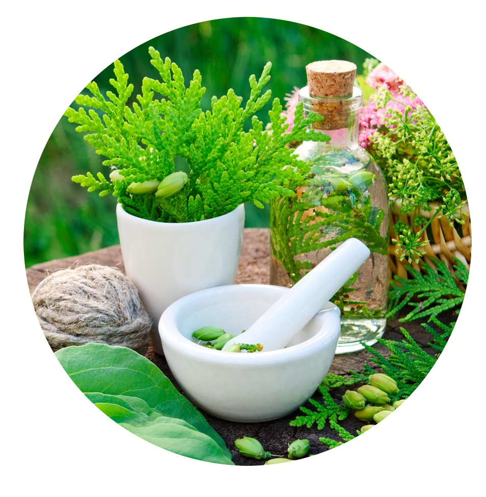 CUNG CẤP NGUYÊN LIỆU, DƯỢC LIỆU, CAO ĐẶC CHO ĐẦU VÀO SẢN XUẤT.