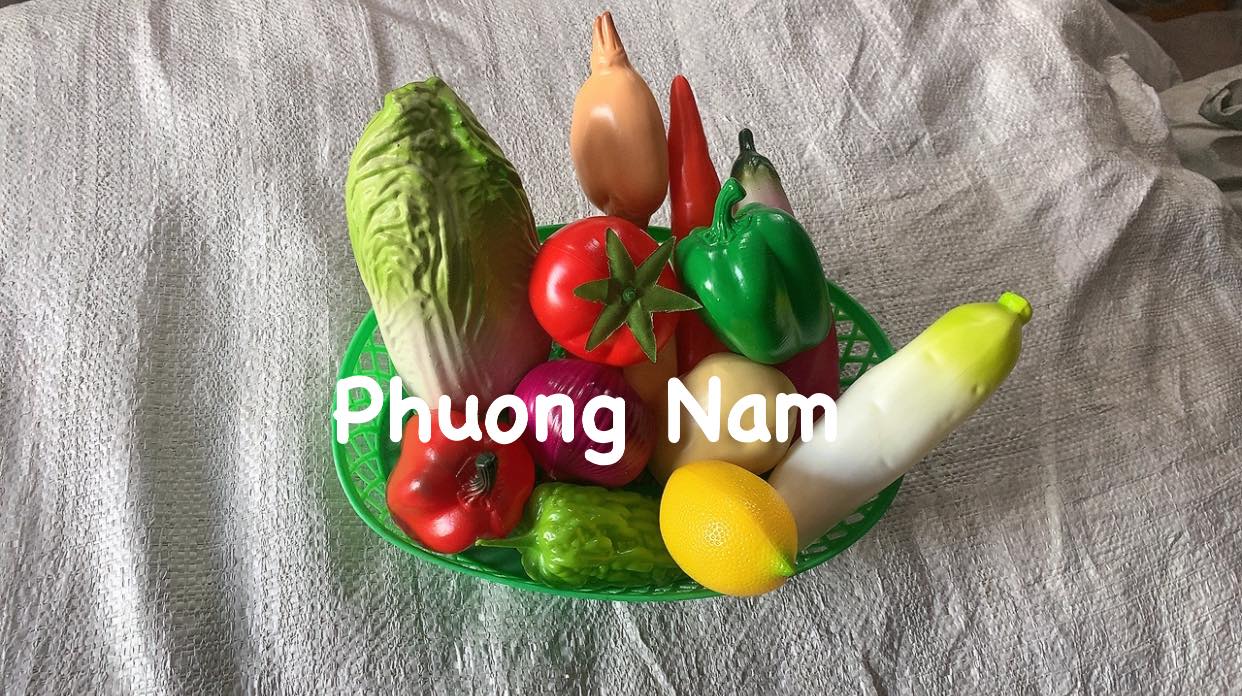 RAU CỦ NHỰA - LINH KIỆN DÀNH CHO KHU VUI CHƠI TRẺ EM