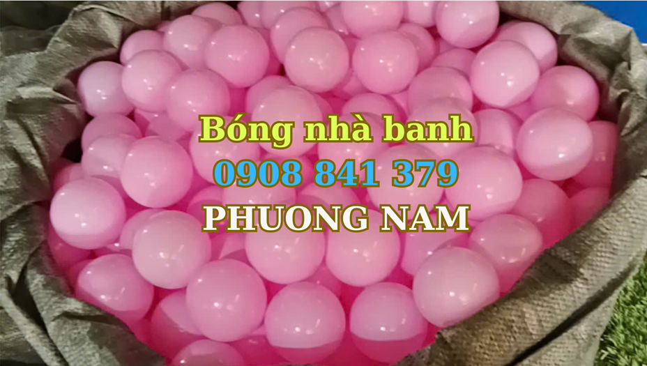 BÓNG NHỰA NHÀ BANH