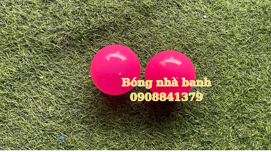 BÓNG NHỰA NHÀ BANH GIÁ RẺ TẠI HỒ CHÍ MINH