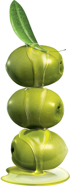 Dịch vụ của Bota