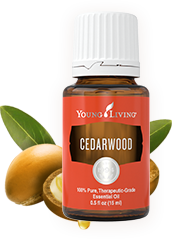 Sản phẩm dưỡng da mới