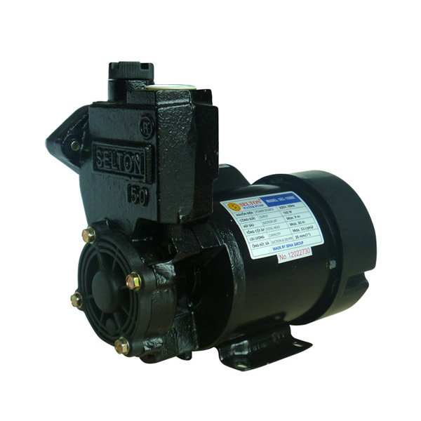 Máy bơm chân không Selton SEL-240BE