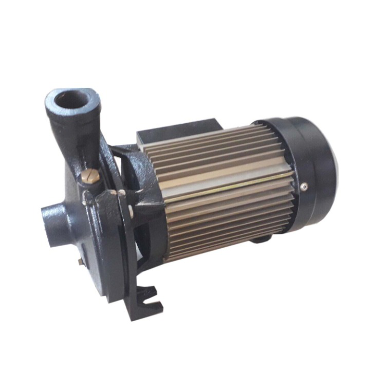 Máy bơm ly tâm Detax CMA 150 (1.1W)