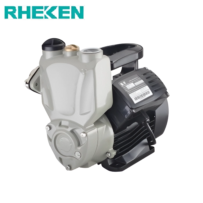Máy bơm nước chân không Rheken JLM90-1500