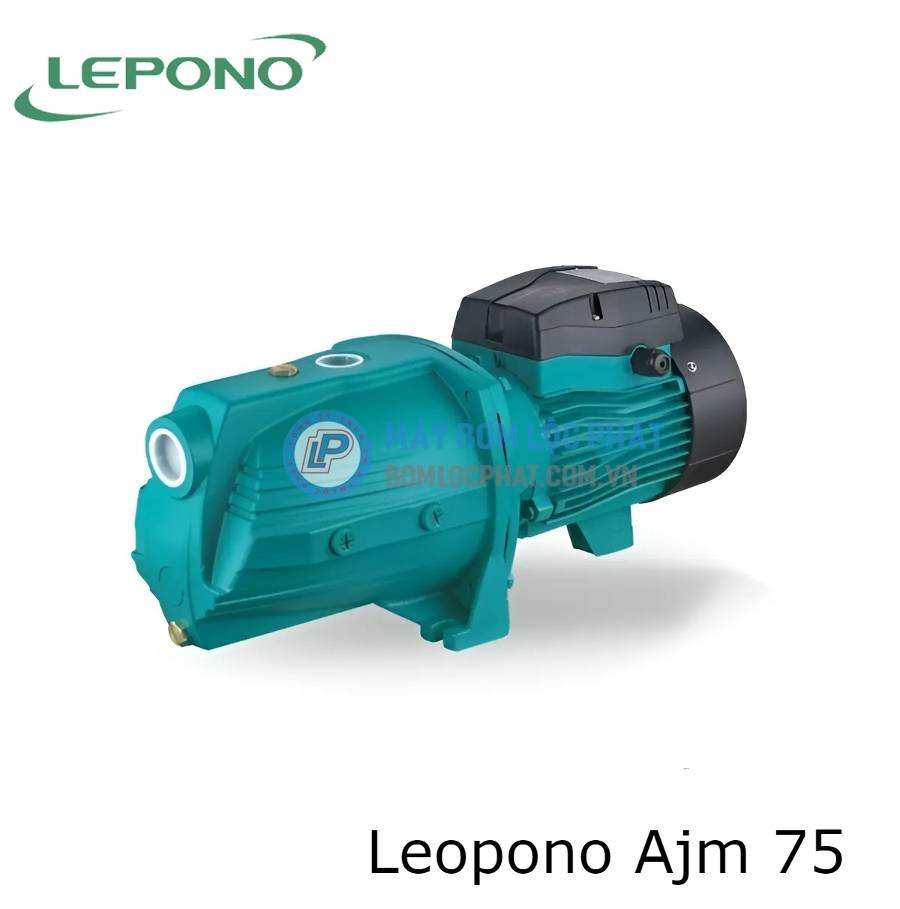 Máy bơm nước Lepono Lợn 750W (AJm 75)