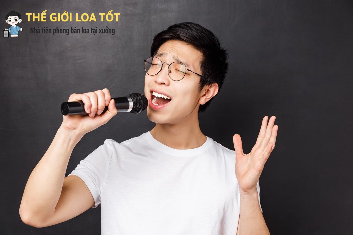 THUÊ LOA KẸO KÉO TP.HỒ CHÍ MINH TỔ CHỨC TIỆC Ở ĐÂU RẺ, UY TÍN?