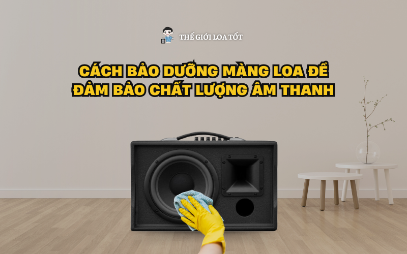 CÁCH BẢO DƯỠNG MÀNG LOA ĐỂ ĐẢM BẢO CHẤT LƯỢNG ÂM THANH