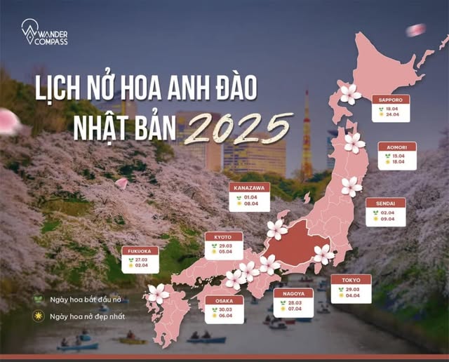Lịch Dự Kiến Nở Hoa Anh Đào Nhật Bản 2025