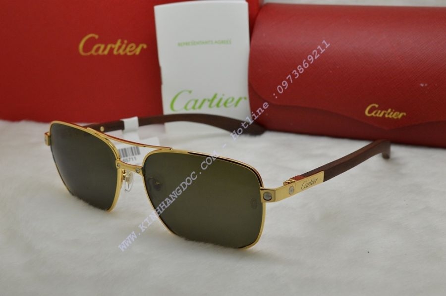 CARTIER T8200781 PARIS EDITION SANTOSDUMONT