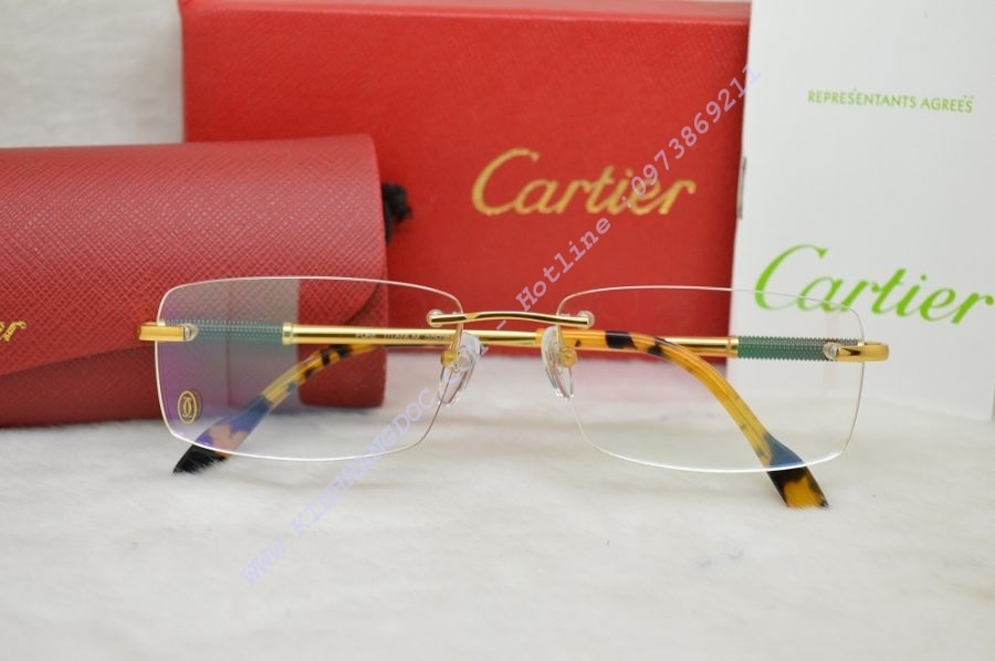 Gọng kính Cartier Titanium 3139903​