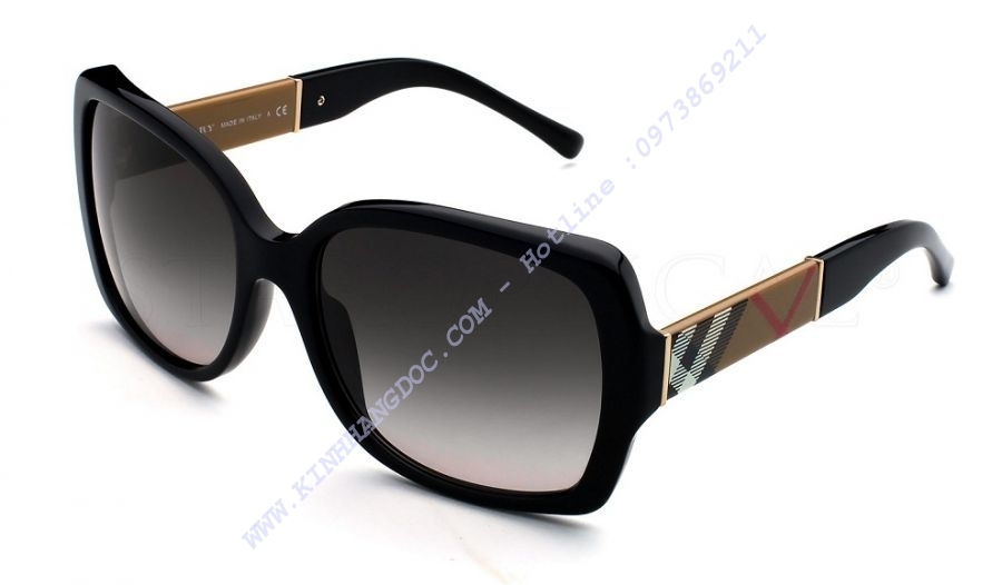 BURBERRY B 4160