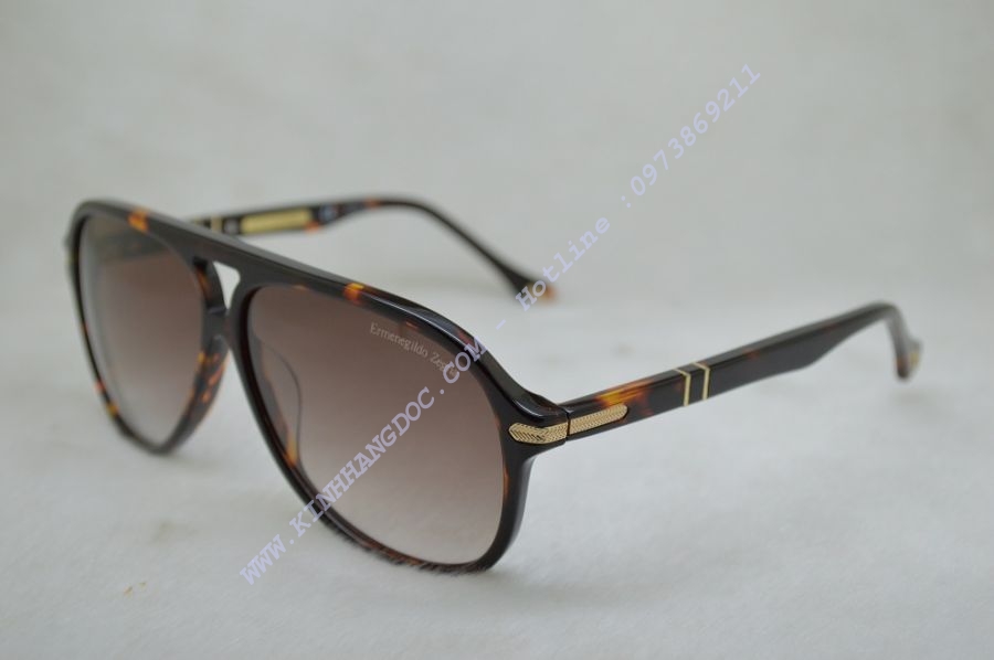 Kính Mắt Nam Ermenegildo Zegna EZ5817 Brown