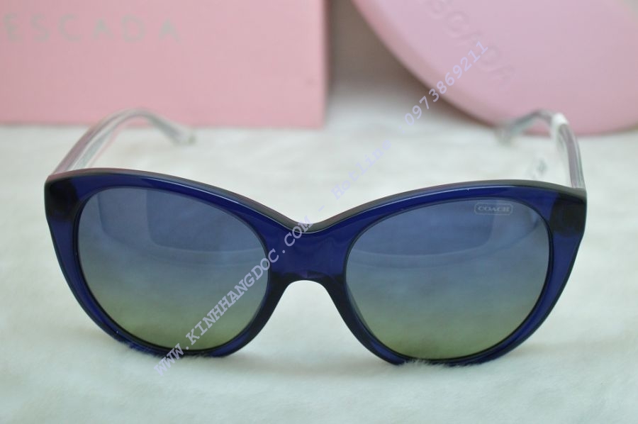 KÍNH HÀNG HIỆU - COACH HC8064 (L060 Audrey) Polarized Navy Crystal Lens ( Authentic )
