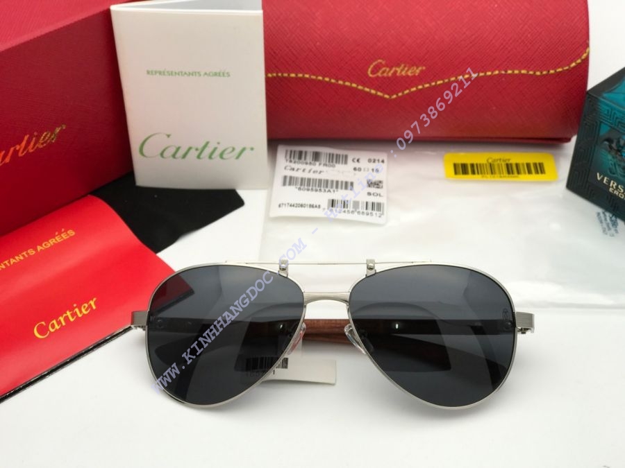 KÍNH MẮT CARTIER CAO CẤP - CARTIER EDITION SANTOS DUMONT PARIS T8200897 BLACK SILVER