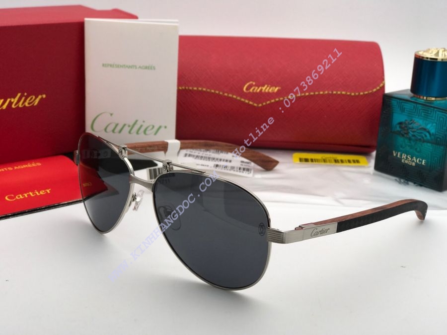 KÍNH MẮT CARTIER CAO CẤP - CARTIER EDITION SANTOS DUMONT PARIS T8200897 BLACK SILVER