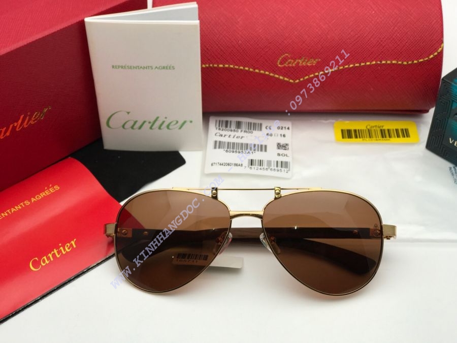 KÍNH MẮT CARTIER CAO CẤP - CARTIER EDITION SANTOS DUMONT PARIS T8200897 GOLD BROWN