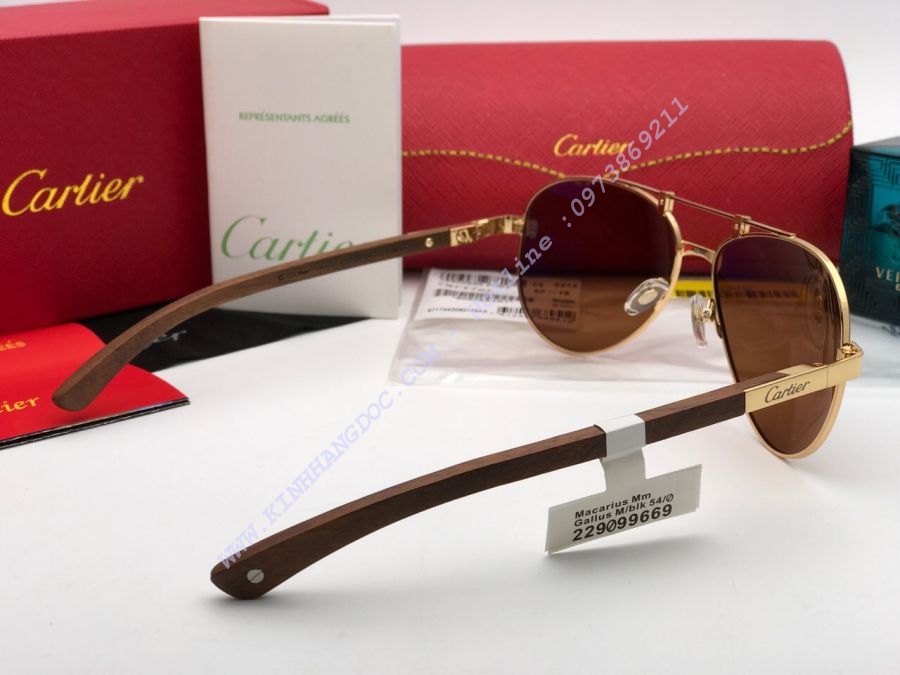 KÍNH MẮT CARTIER CAO CẤP - CARTIER EDITION SANTOS DUMONT PARIS T8200897 GOLD BROWN