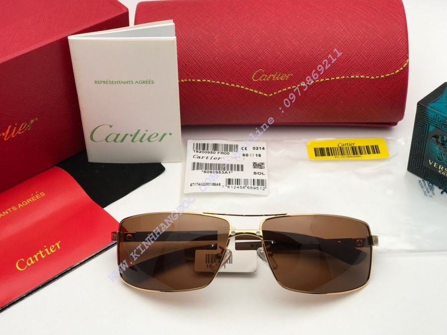 KÍNH MẮT CARTIER CAO CẤP - CARTIER EDITION SANTOS DUMONT PARIS T8200912 GOLD BROWN