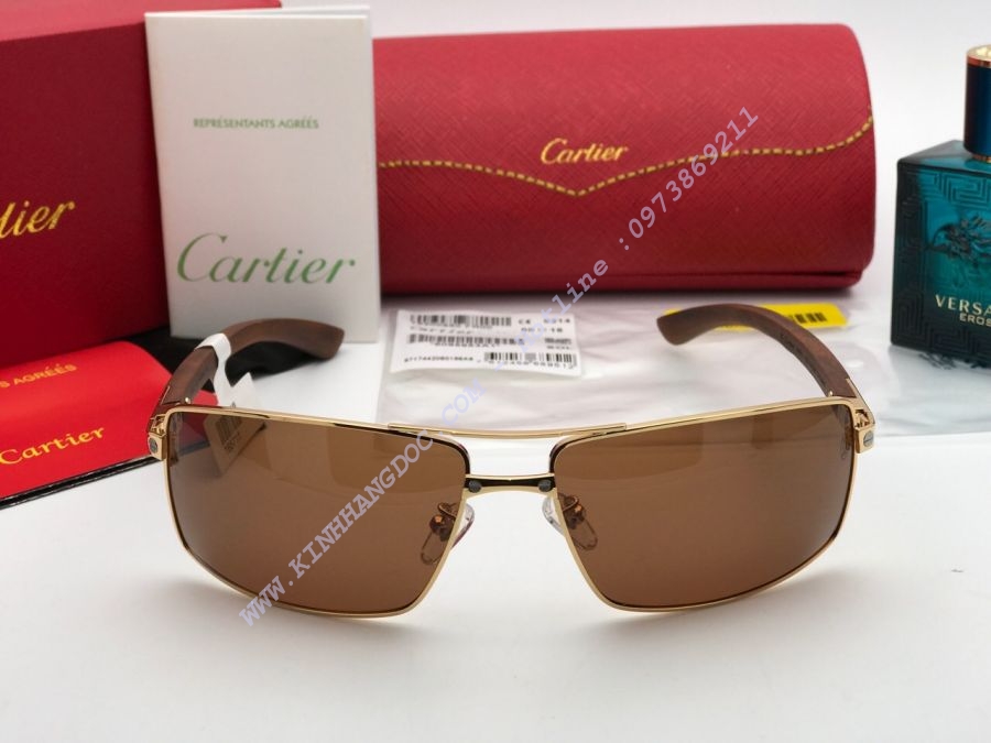 KÍNH MẮT CARTIER CAO CẤP - CARTIER EDITION SANTOS DUMONT PARIS T8200912 GOLD BROWN