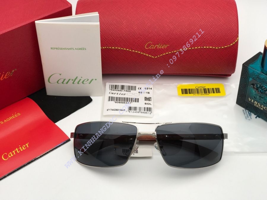 KÍNH MẮT CARTIER CAO CẤP - CARTIER EDITION SANTOS DUMONT PARIS T8200912 GOLD BROWN