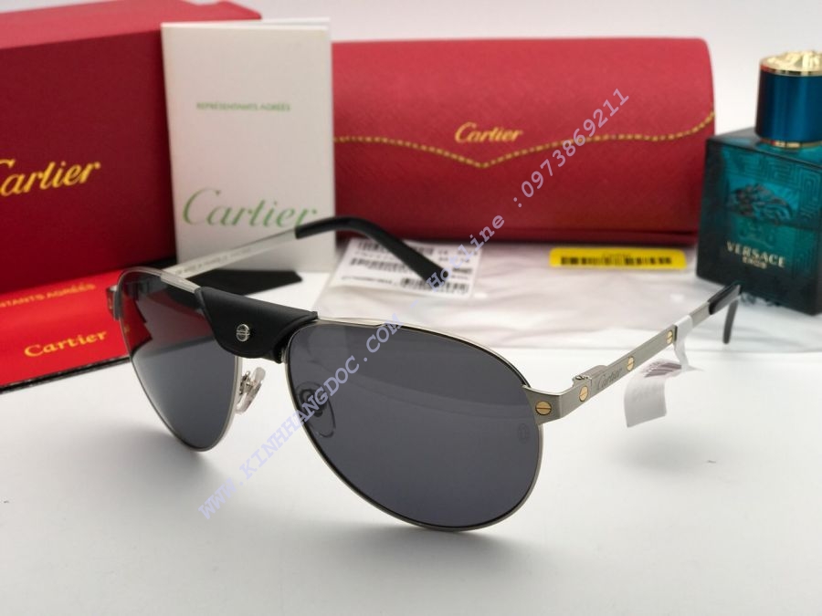 KÍNH MẮT CARTIER CAO CẤP - CARTIER SANTOS DUMONT PARIS T3462868 BLACK SILVER