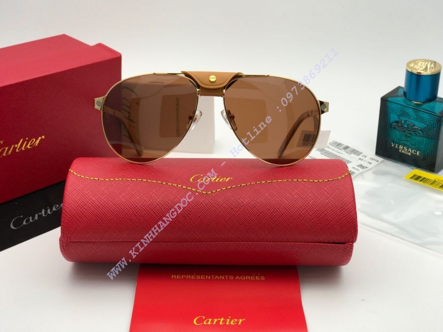 KÍNH MẮT CARTIER CAO CẤP - CARTIER SANTOS DUMONT PARIS T3462868 GOLD BROWN