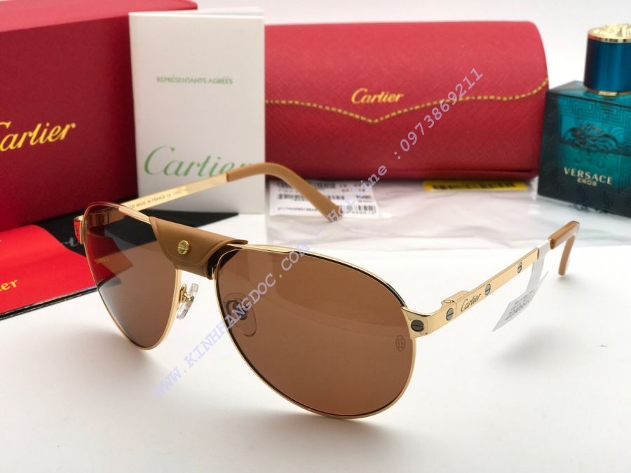 KÍNH MẮT CARTIER CAO CẤP - CARTIER SANTOS DUMONT PARIS T3462868 GOLD BROWN