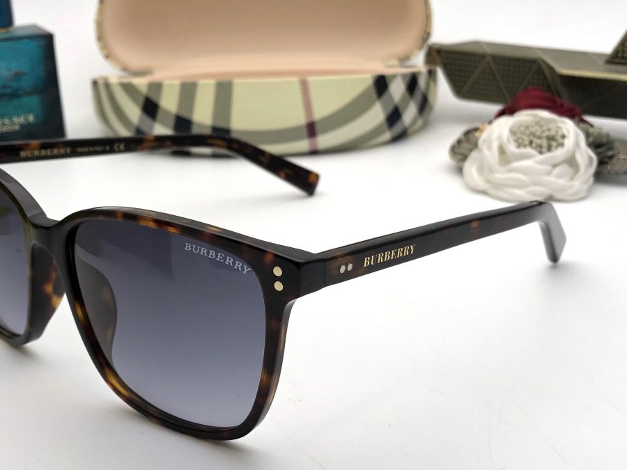 KÍNH MẮT NAM CAO CẤP BURBERRY - BE6003 BROWN BLACK