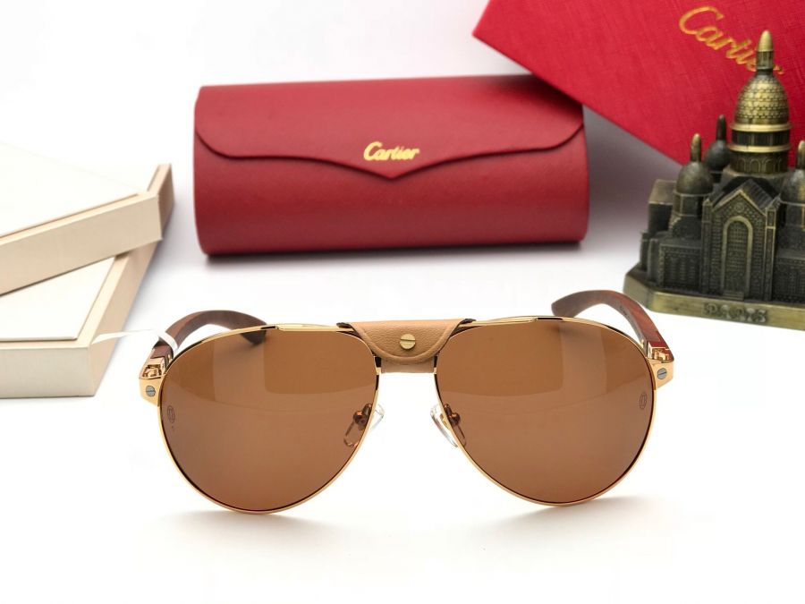 KÍNH MẮT NAM CAO CẤP CARTIER - CARTIER T8200866 GOLD BROWN