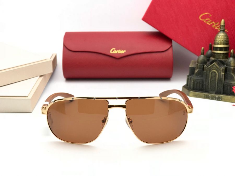 KÍNH MẮT NAM CAO CẤP CARTIER - CARTIER T8201024 GOLD BROWN