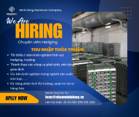 CHUYÊN VIÊN HEDGIING