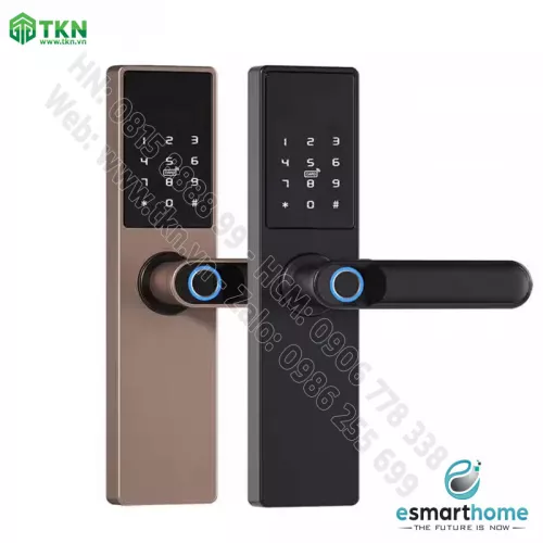 Khoá mobile APP, vân tay, thẻ, mật mã, chìa cơ ESH99TY202TYDSB