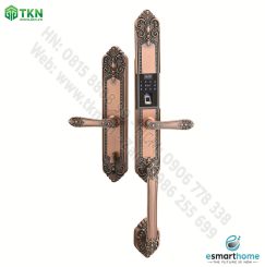 Khoá mobile APP, vân tay, thẻ, mật mã, chìa cơ ESH99TY253TYESG