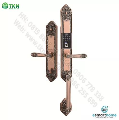 Khoá mobile APP, vân tay, thẻ, mật mã, chìa cơ ESH99TY253TYESG